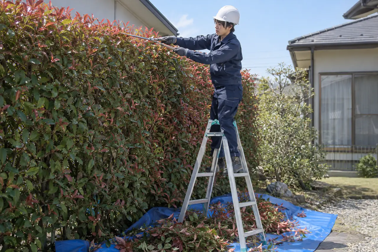 庭のお手入れ